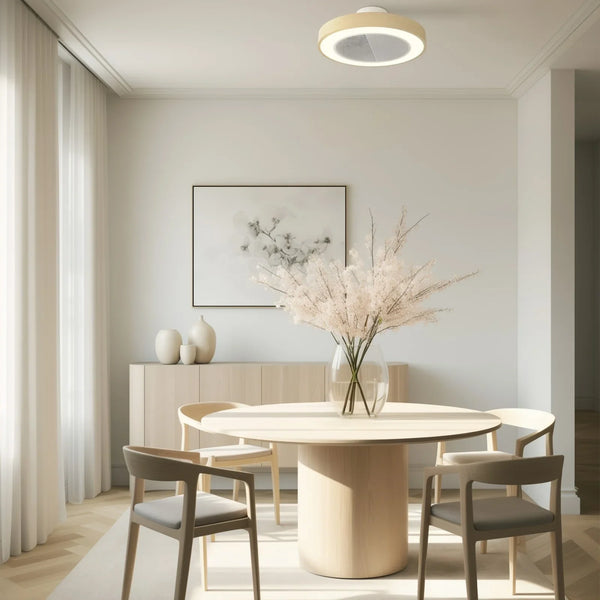 Ceiling lights