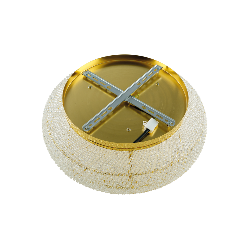 Ideal Lux Pasha' - ZOO001