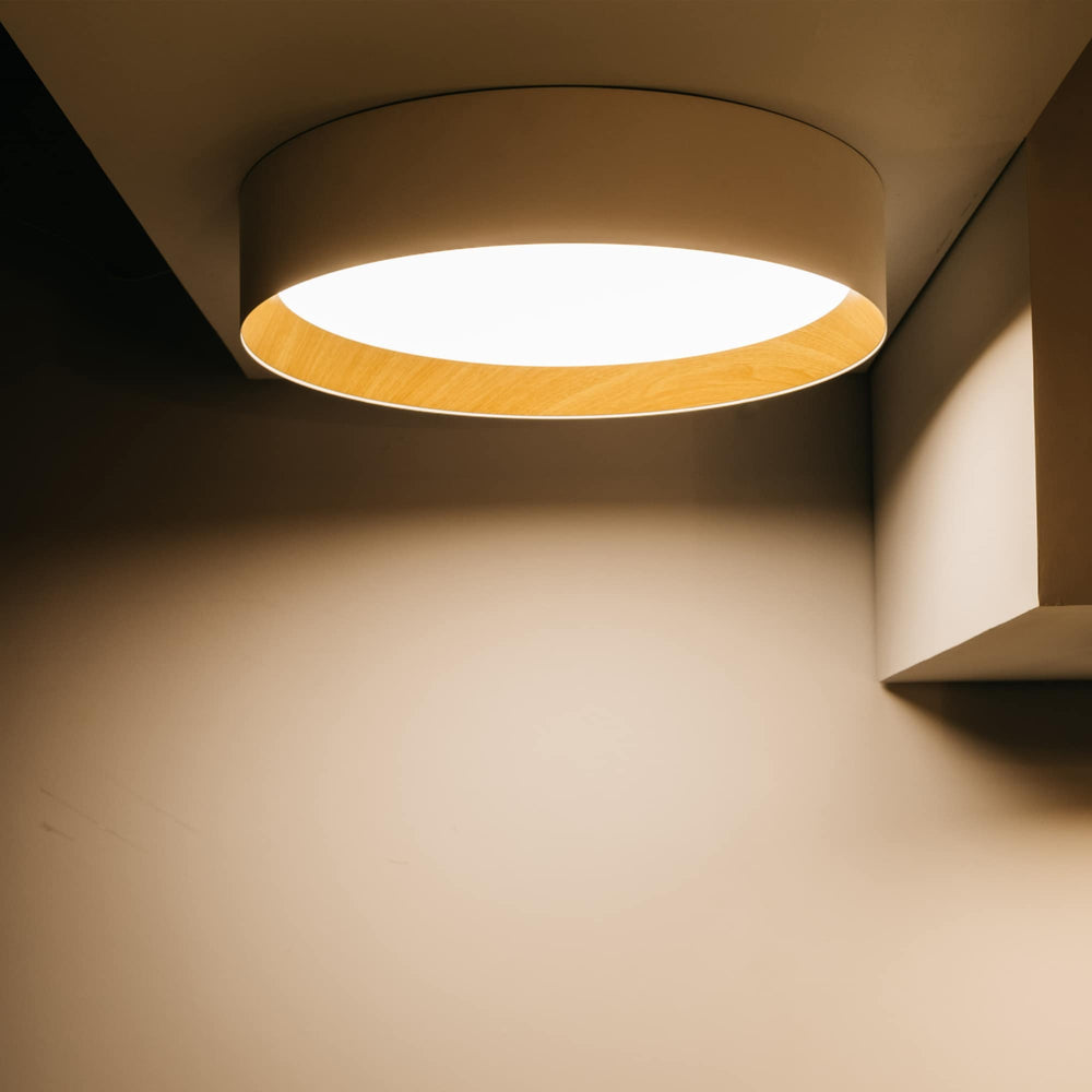 Sulion Lobby White Aluminum Ceiling Light 45cm LOBBY 200920