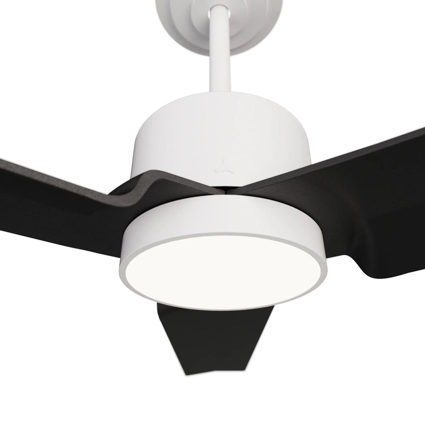 Sulion ANNE black ceiling fan with light 2183350