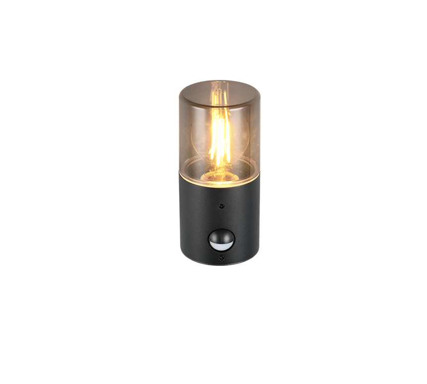 Aplique de exterior Trio Hoosic LED negro mate 2700K IP44 222260132
