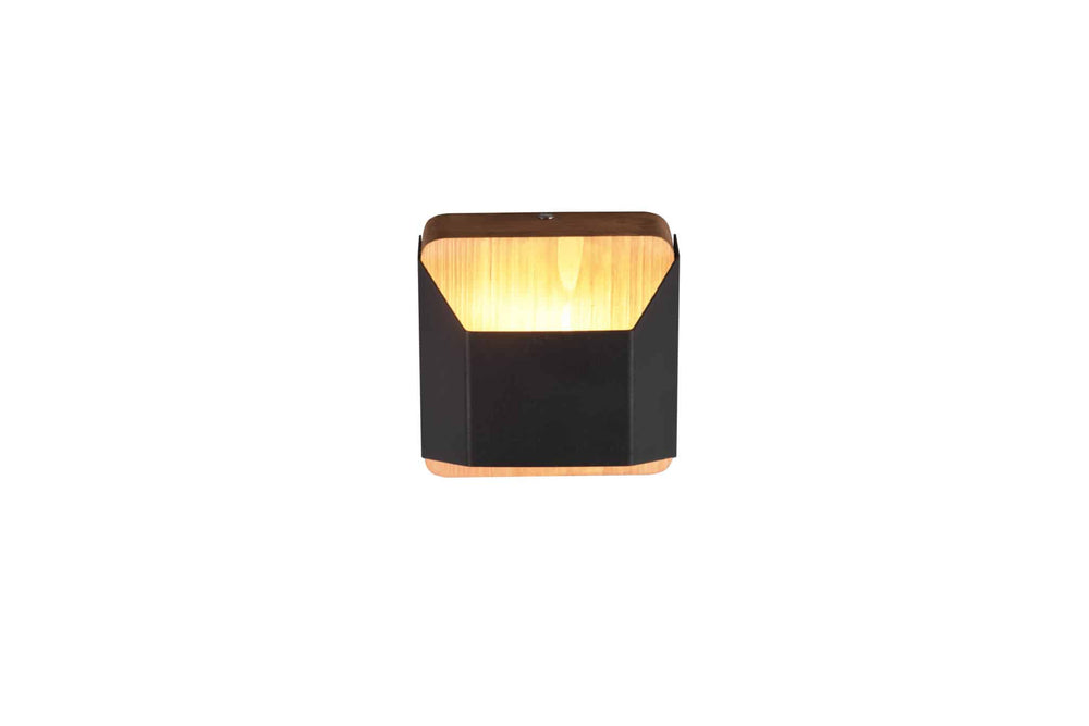 Trio Arino Black mat metal LED wall light 224810132