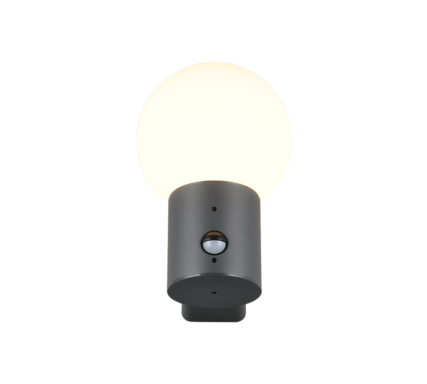 Aplique de exterior Trio Mures LED antracita 2700K IP44 269869142