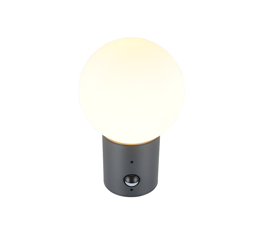 Aplique de exterior Trio Mures LED antracita 2700K IP44 269869142