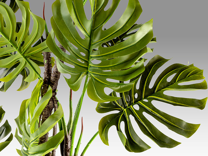 Planta artificial Schuller Monstera cemento 210cm 281003 - imagen 5