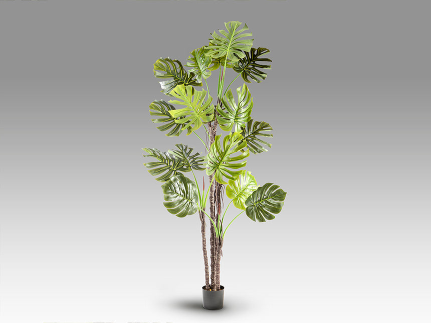Planta artificial Schuller Monstera cemento 210cm 281003 - imagen 6