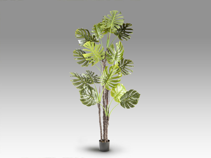 Planta artificial Schuller Monstera cemento 210cm vista 4