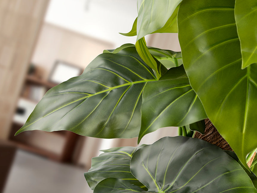 Planta artificial Schuller Taro cemento 150cm 281126 - imagen 4
