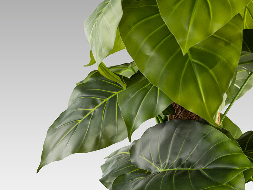 Planta artificial Schuller Taro cemento 150cm 281126 - imagen 5