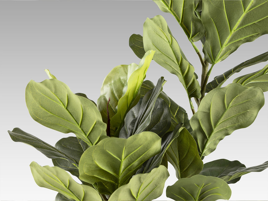 Planta artificial Schuller Higuera Violín cemento 200cm vista 3