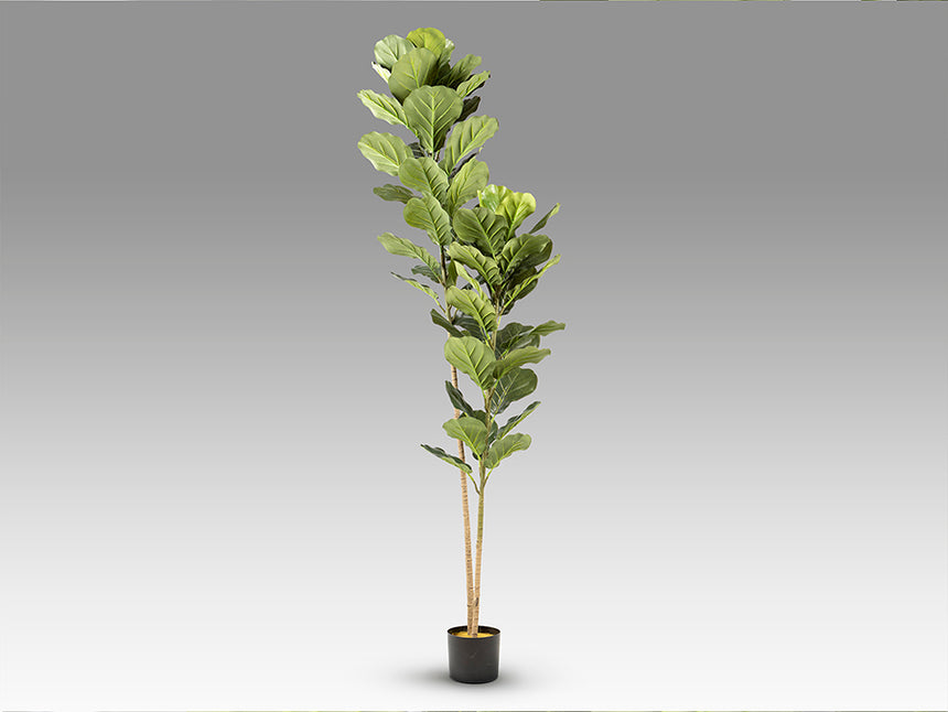 Planta artificial Schuller Higuera Violín cemento 200cm 281232 - imagen 6