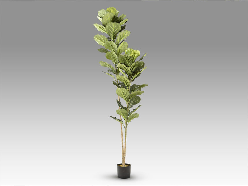 Planta artificial Schuller Higuera Violín cemento 200cm vista 4