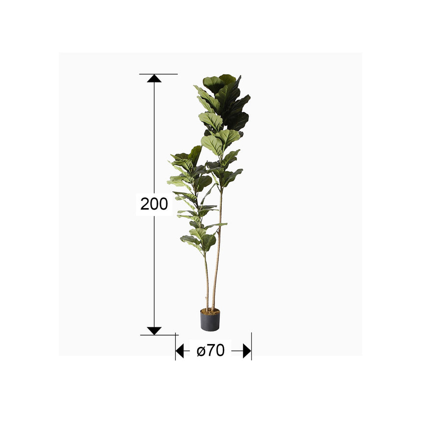 Planta artificial Schuller Higuera Violín cemento 200cm dimensiones