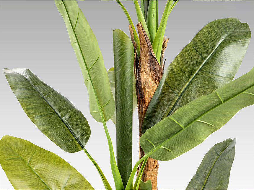 Planta artificial Schuller Platanera plata cemento 180cm 281461 - imagen 5