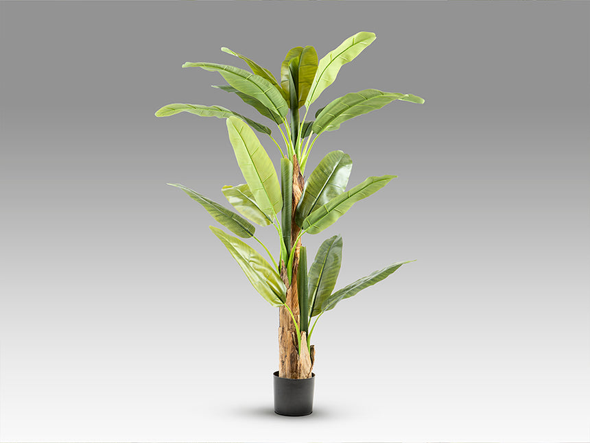 Planta artificial Schuller Platanera plata cemento 180cm 281461 - imagen 6