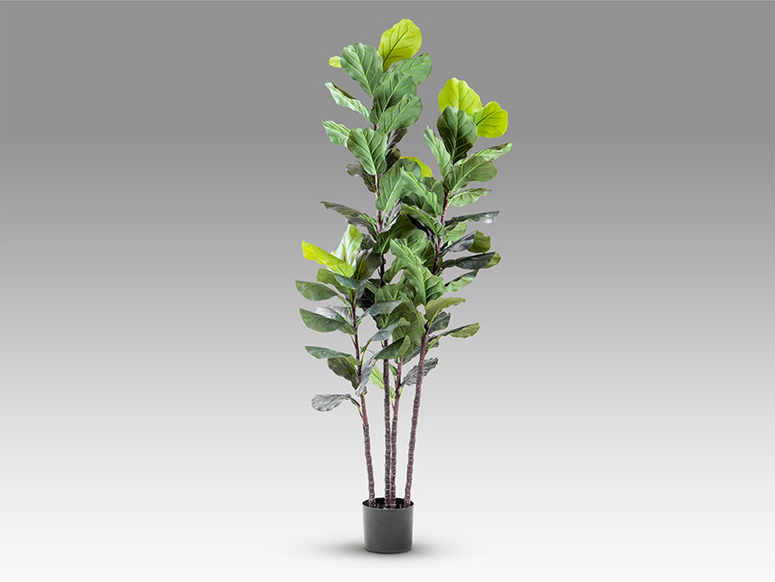 Planta artificial Schuller Higuera Violín cemento 250cm 281577 - imagen 6