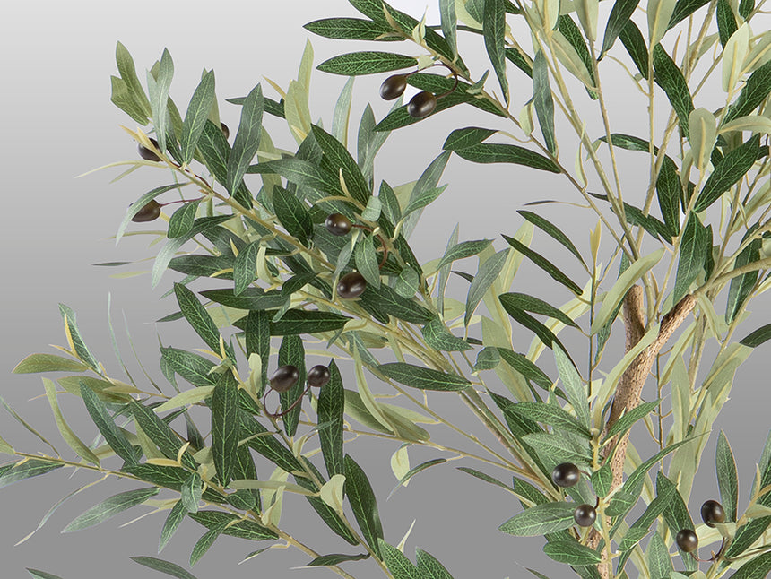 Planta artificial Schuller Olivo cemento 180cm 281881 - imagen 5