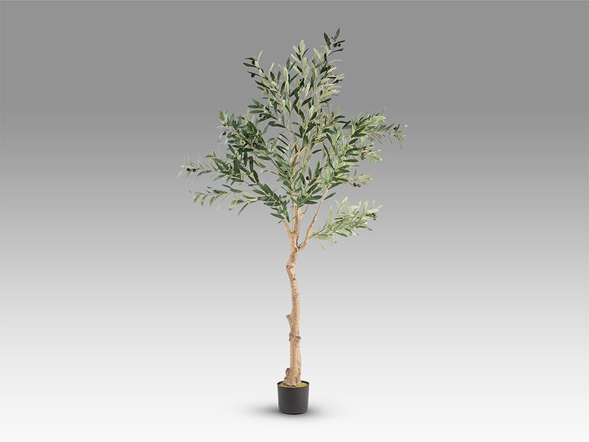 Planta artificial Schuller Olivo cemento 180cm 281881 - imagen 6