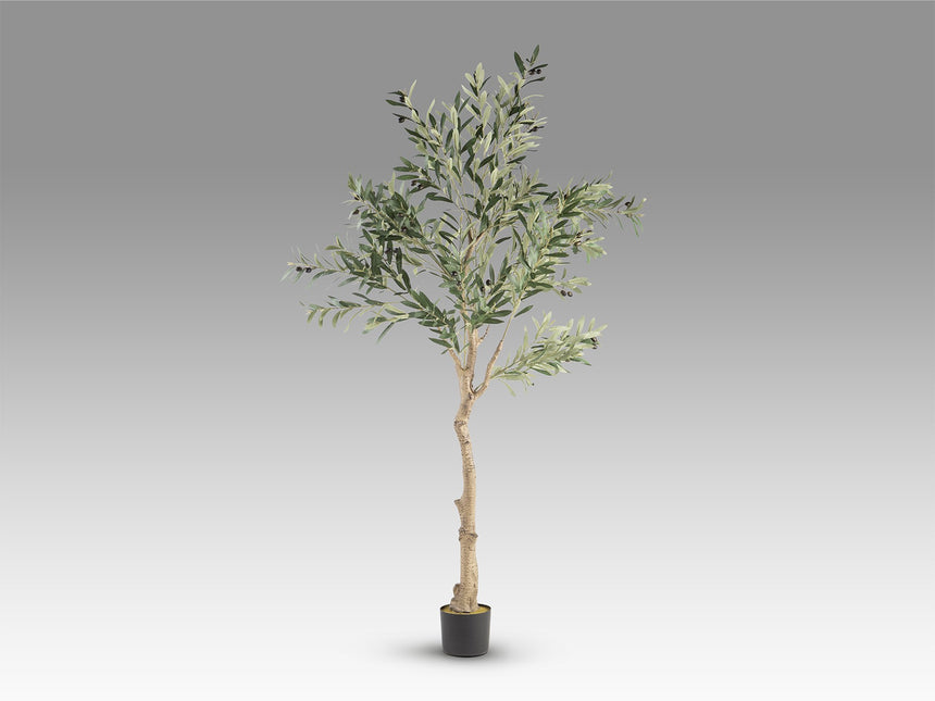 Planta artificial Schuller Olivo cemento 180cm vista 4