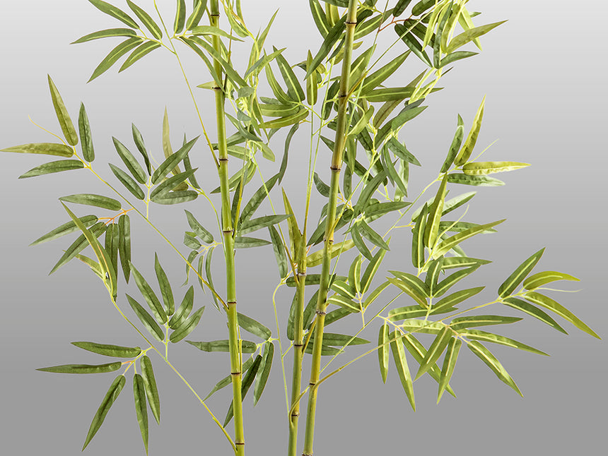 Planta artificial Schuller Bambú cemento 170cm 291910 - imagen 5