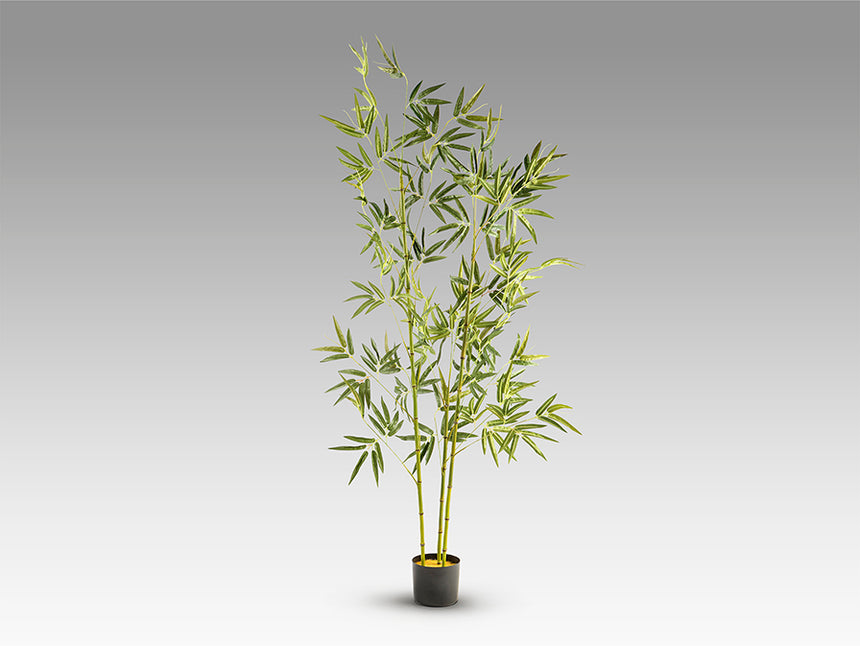 Planta artificial Schuller Bambú cemento 170cm 291910 - imagen 6
