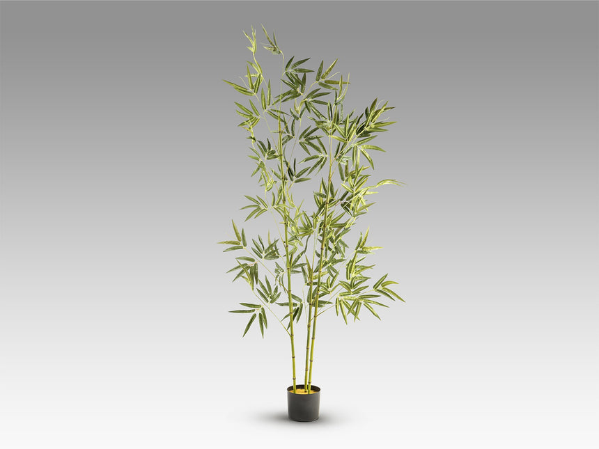 Planta artificial Schuller Bambú cemento 170cm vista 4