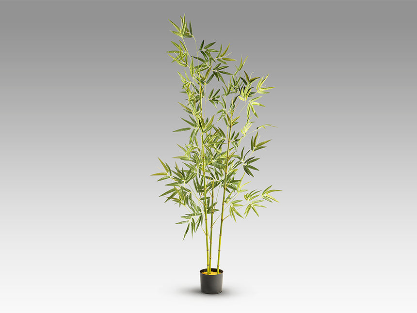 Planta artificial Schuller Bambú cemento 170cm 291910 - imagen 7