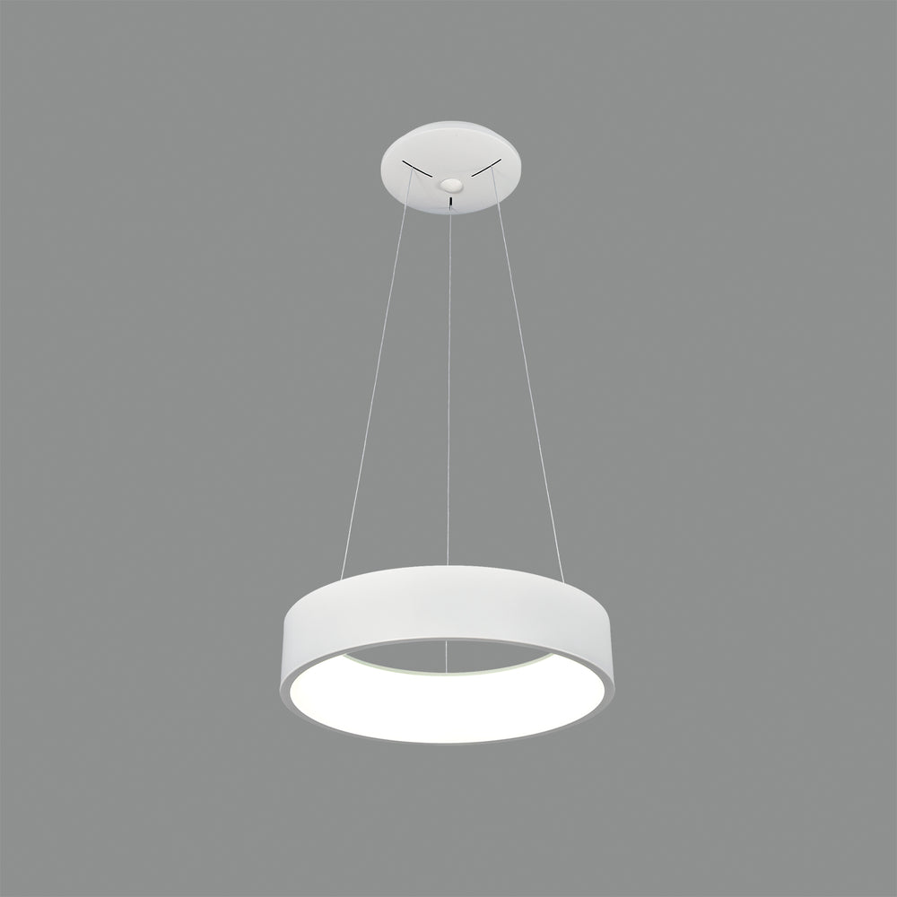 ACB Dilga Pendant Ceiling Lamp White LED Slide Switch Casambi C3450170BCA