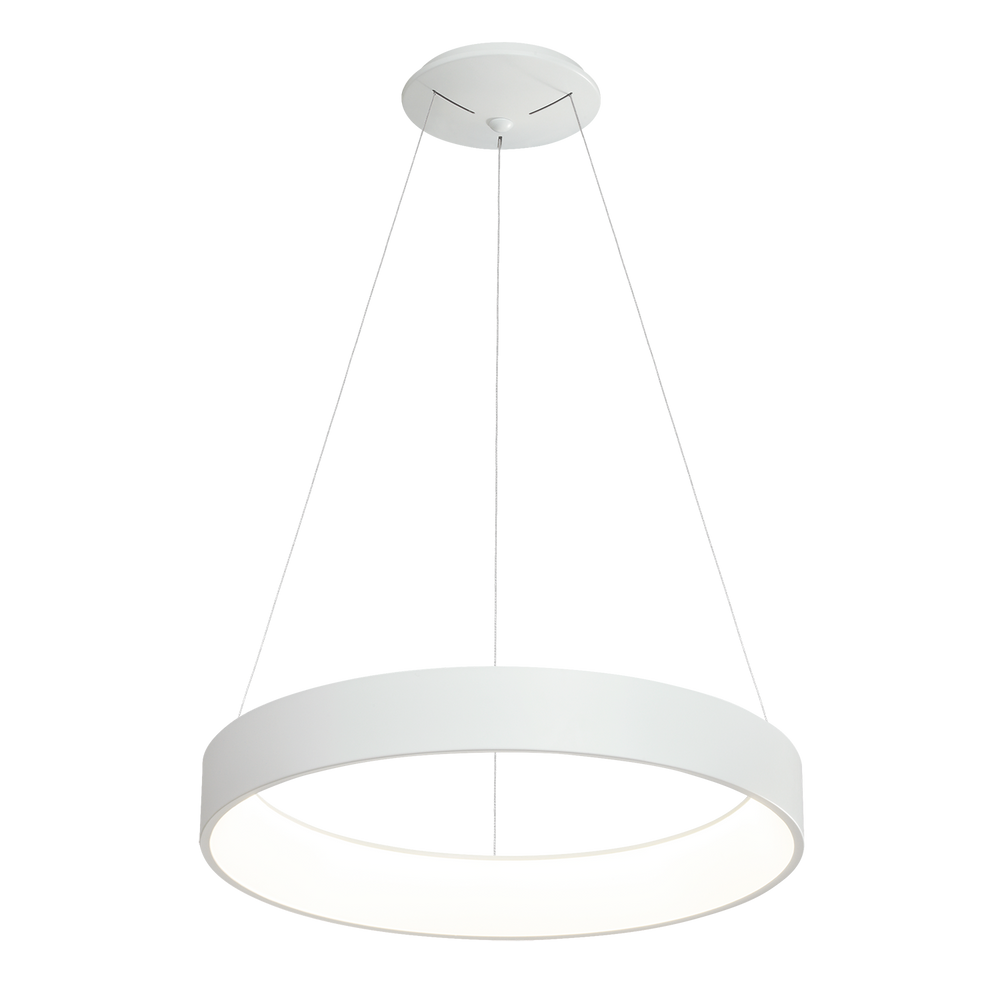 ACB Dilga Pendant Ceiling Lamp White LED Slide Switch Casambi C3450470BCA