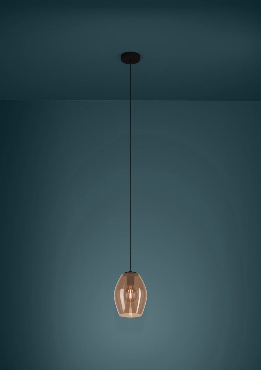 EGLO Estanys 1 Lámpara de techo colgante acero vidrio negro - 390159