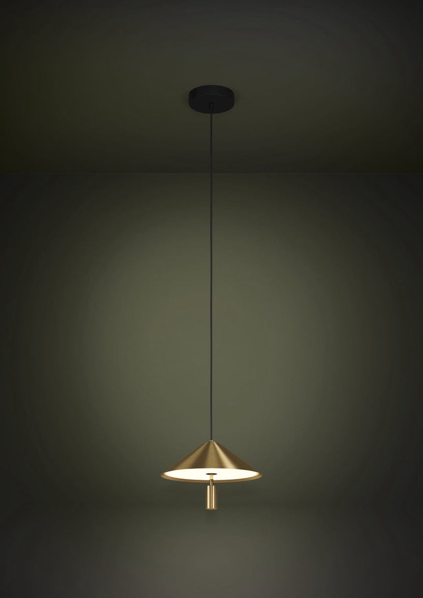 EGLO Paraguay Lámpara de techo colgante LED acero plástico negrolatón cepillado blanco 390271