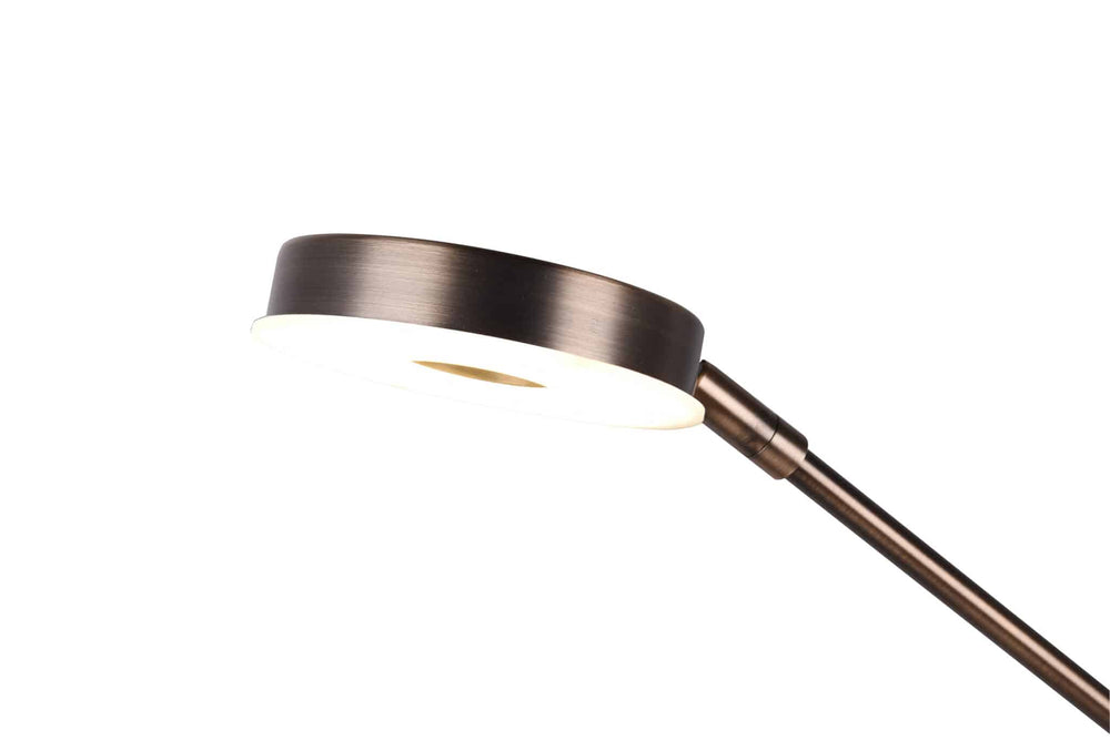 Trio Barrie Old Bronze Metal LED Floor Lamp 424210304