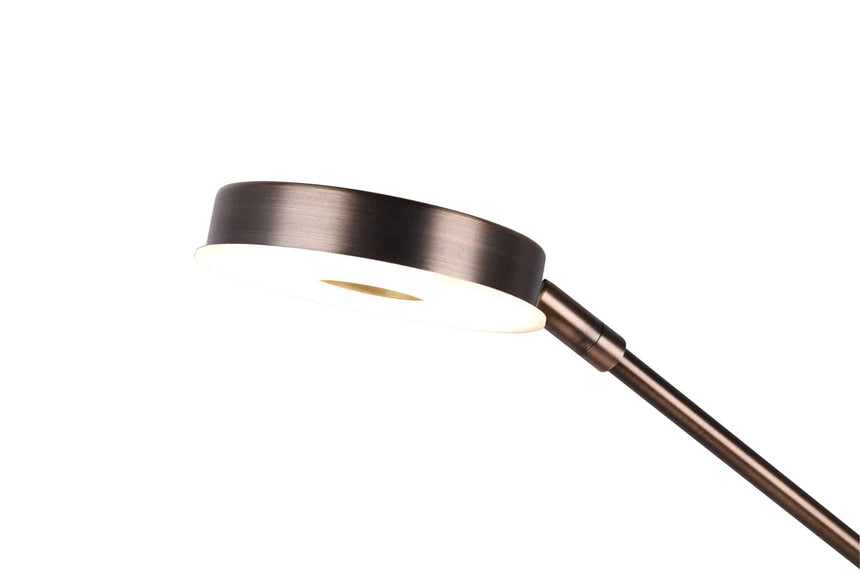 Trio Barrie Old Bronze Metal LED Floor Lamp 424210304