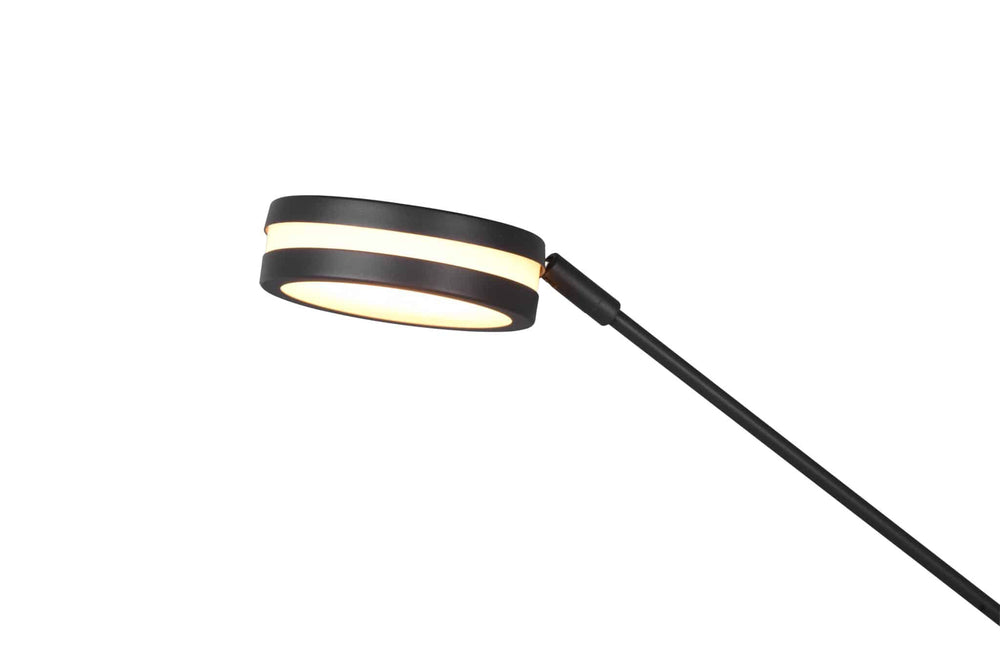 Trio Franklin Anthracite Metal LED Floor Lamp 426510242