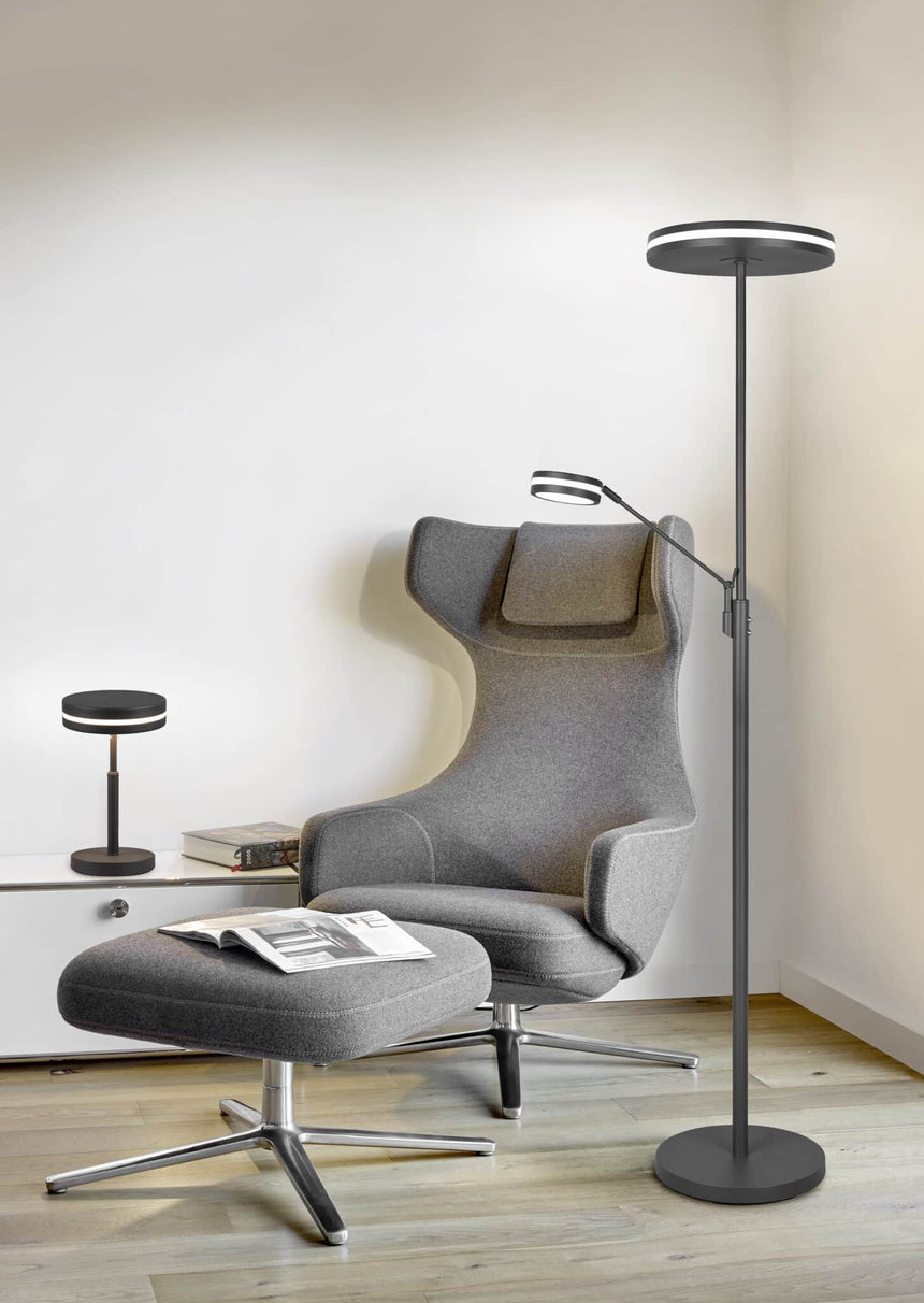 Trio Franklin Anthracite Metal LED Floor Lamp 426510242