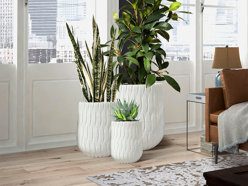 Schuller Jazmin Set 3 Maceteros blanco 459624