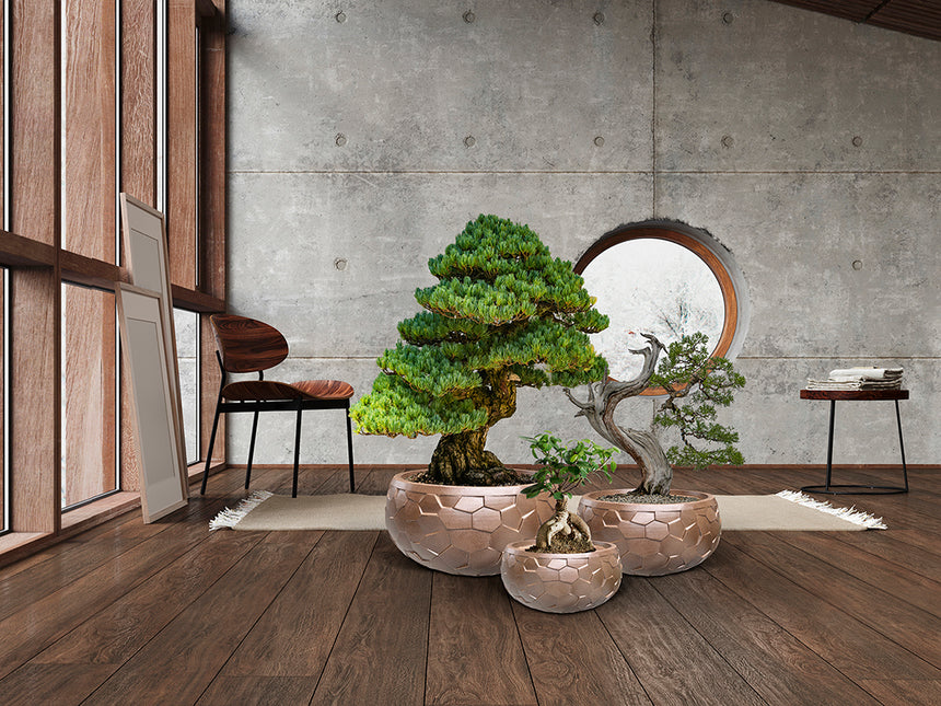 Schuller Canela Set 3 Maceteros bronce 602389