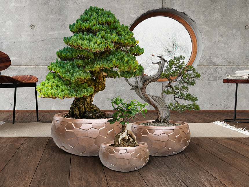 Schuller Canela Set 3 Maceteros bronce 602389