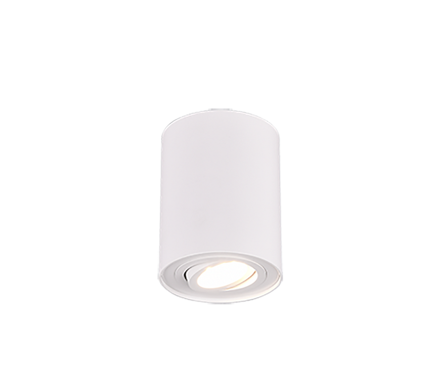 Trio Cookie Metal ceiling light mat white 612900131