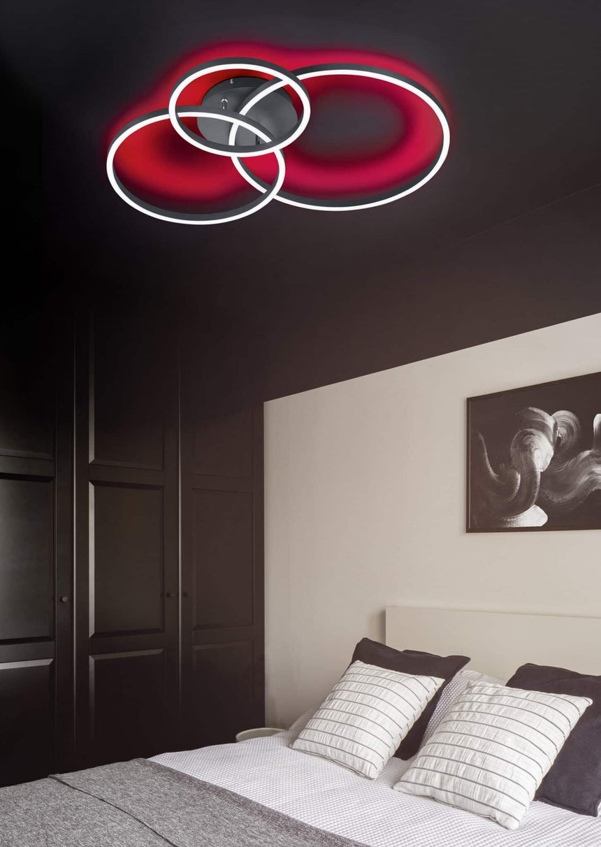 Trio Winona LED metal ceiling light mat black 670810632