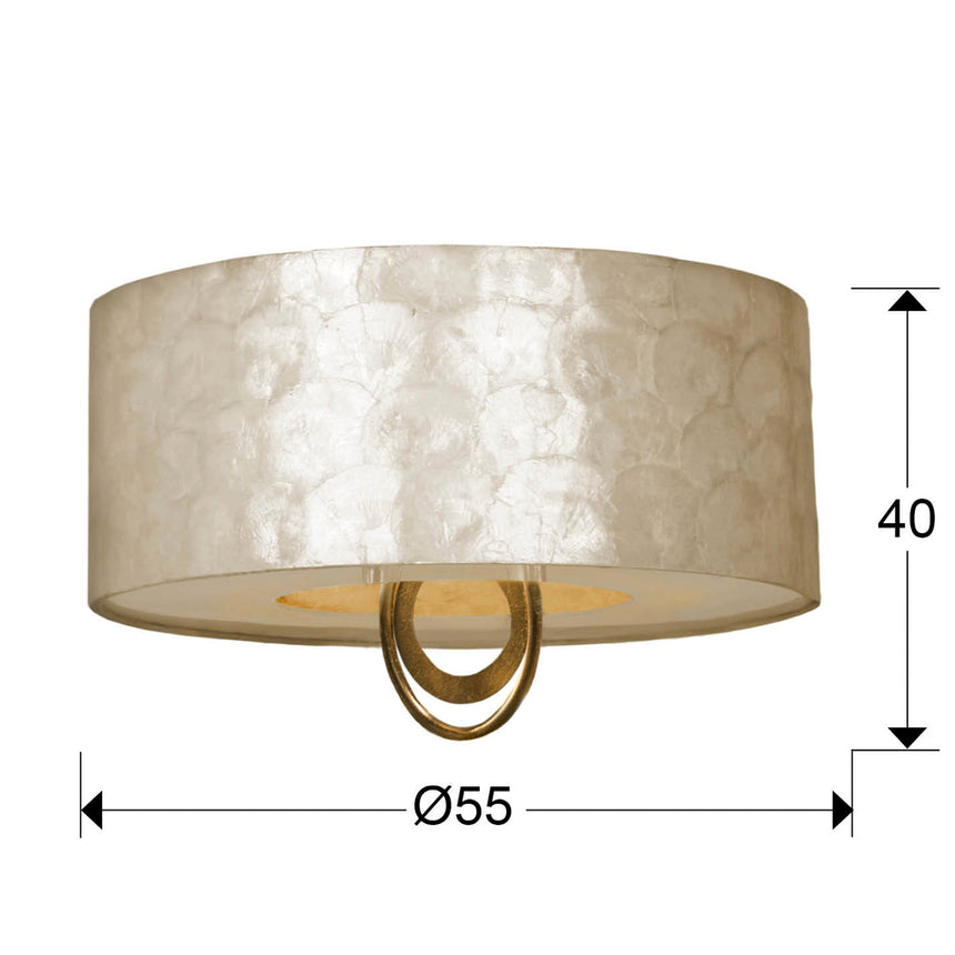 Medidas y dimensiones - Plafón Schuller Edén 4 luces pan de oro y negro Ø55cm 716478