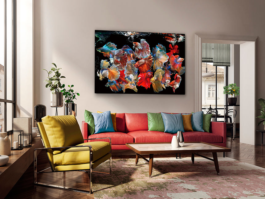 Cuadro fotografía impresa Schuller Peces Siam 150x100cm 755016 - vista alternativa