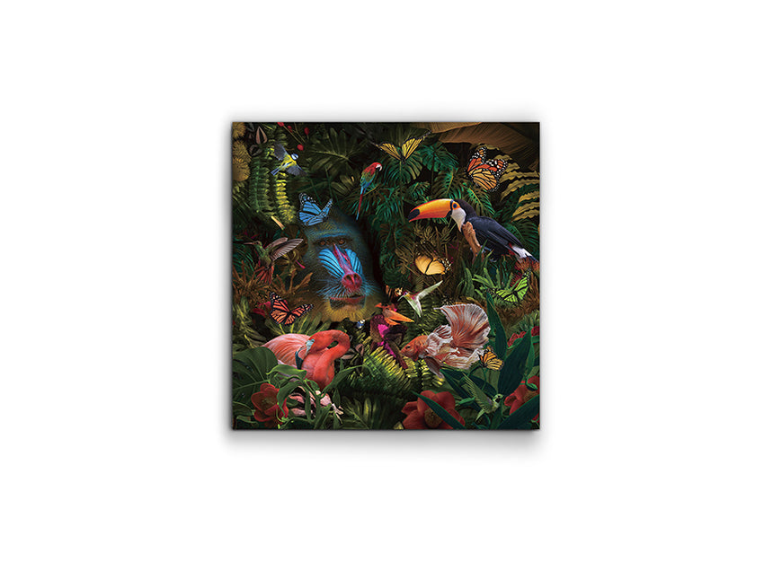 Cuadro fotografía impresa Schuller Selvatica 100x100cm - vista 2