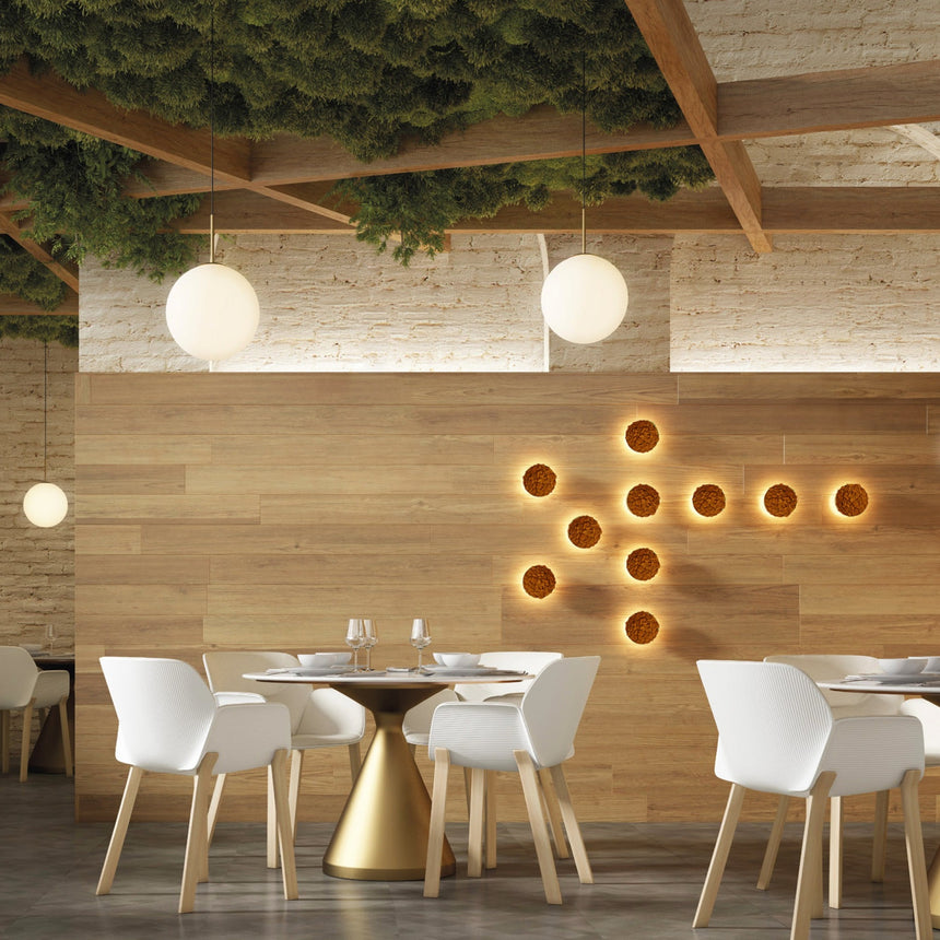 ACB Chamaleon musgo naranja sin iluminación K0003140NA