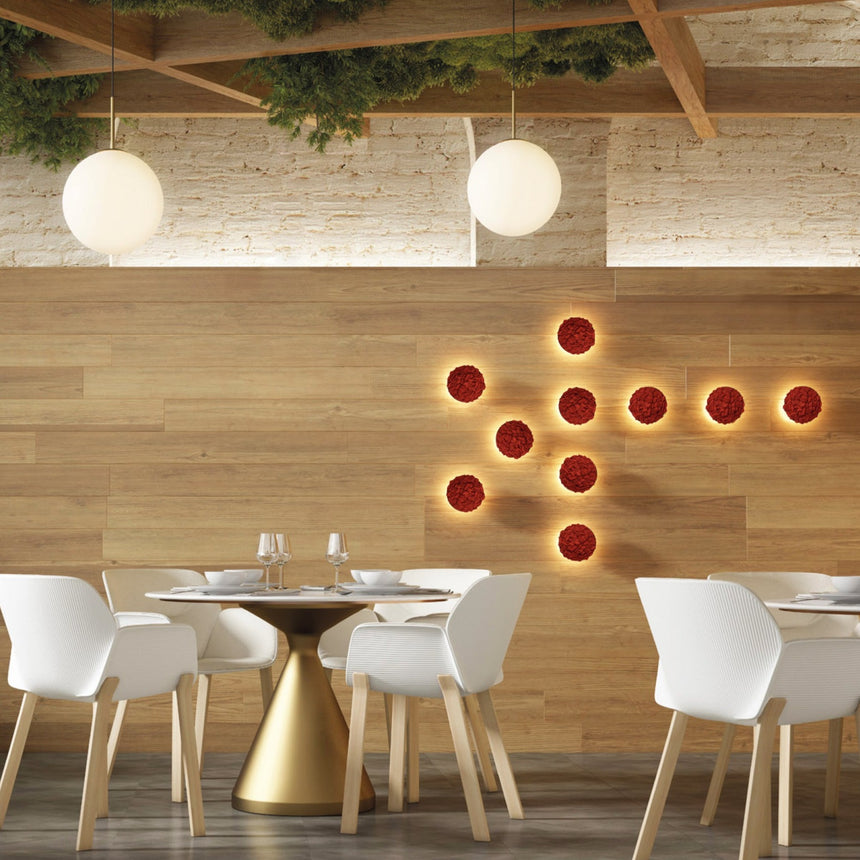 ACB Chamaleon aplique musgo rojo K0003140R