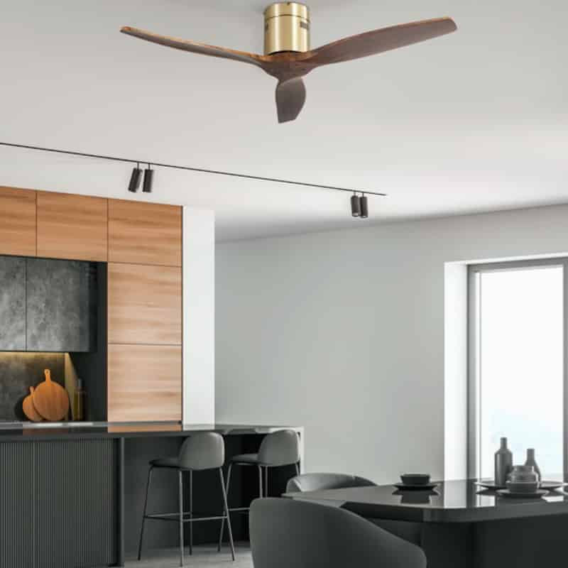 Fabrilamp Aguilón DC Aguilon Nickel Fan 3 Beech Blades 5 Speeds Without Light Remote and Timer 132d 128290342