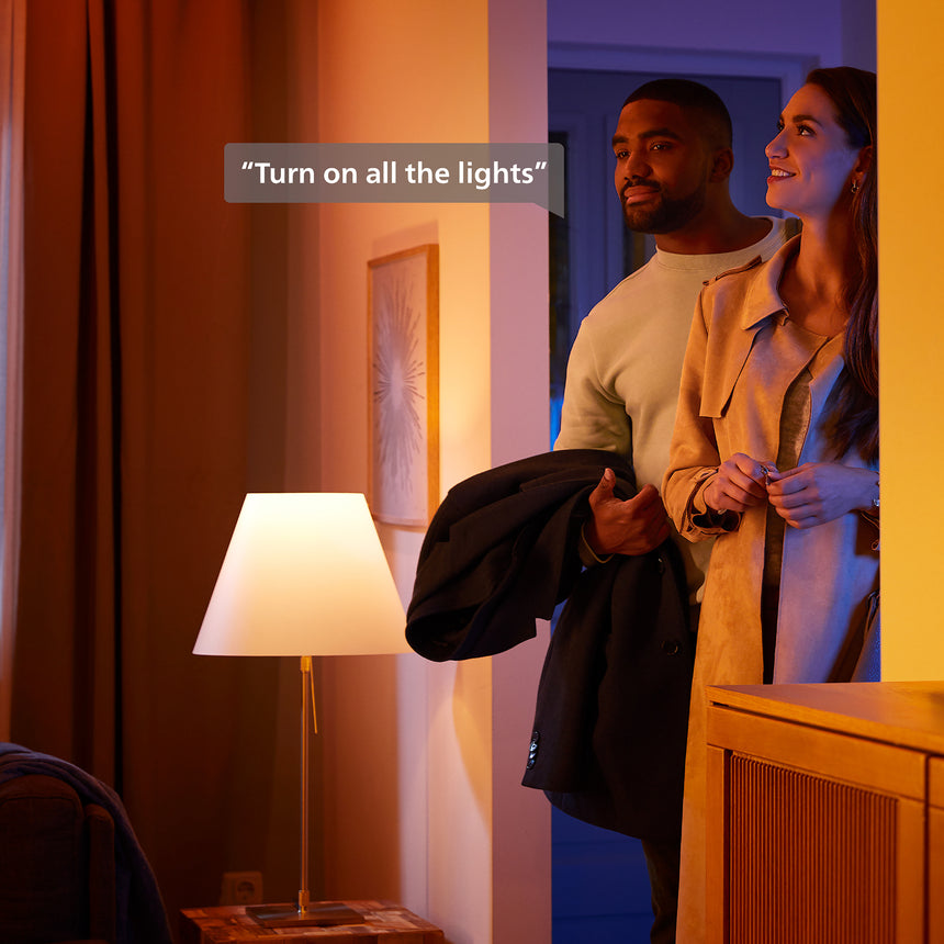 Philips Hue White and Color Ambiance Guirnalda festavia negro RGBW 28W IP54 120lm 8720169246867 - imagen 6