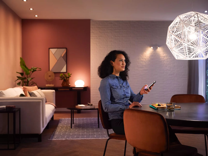 Philips Hue LED smart bulb 2 units A60 E27 9.5W 2700K 289192