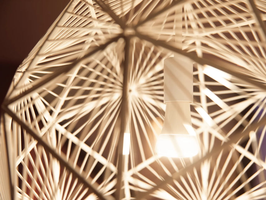 Philips Hue LED smart bulb 2 units A60 E27 9.5W 2700K 289192