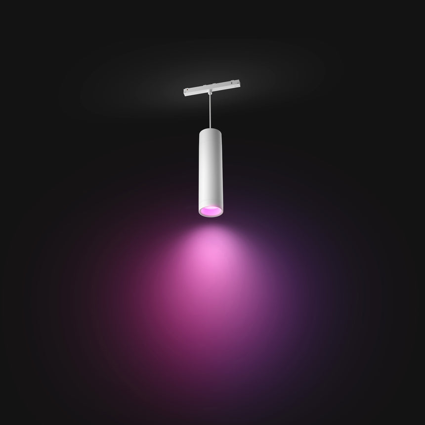 Philips Hue White and Color Ambiance Lámpara colgante Perifo blanco RGBW 5W 510lm 40750300